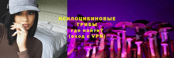 марки lsd Пересвет