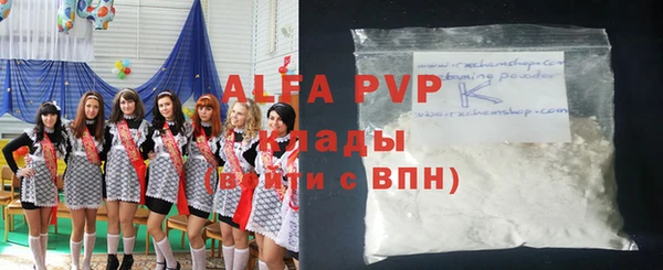 гашик Алексин